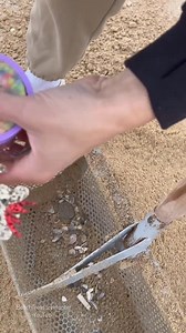 During our beach cleanup, we found some truly unexpected and interesting items — including a unique antistress toy! Join us as we explore what people leave behind and turn a simple cleanup into a mini treasure hunt. Keeping beaches clean is important, and you never know what surprises are hiding in the sand. Watch till the end to see all the unusual discoveries! If you enjoy satisfying finds, beach cleanups, and mystery objects, make sure to like the video and | Milon's Reels