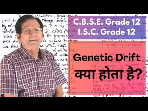 Genetic Drift || Grade 12 Biology