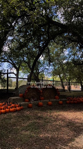 365 Things Austin on Instagram: "A fall weekend in Austin 🍂 🎶 Uhland Fall Fest 🎃 Pumpkin patch at Indian Springs Ranch 🛍️ Mueller Farmers Market stroll ☕ Coffee at First Light Bookstore What’s on your Austin fall bucket list this year? 👻 #austintx #atx #atxlife #atxfall #austinfall #austinevents #atxevents #365thingsaustin #thingstodoinaustin #austinbucketlist #austinthingstodo #exploreaustin"