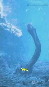 The Abyss Unveiled: Exploring the Unreachable Depths of Our Oceans