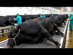 How Millions of Wagyu Are Farmed & Processed for Premium Beef – Inside Japan Wagyu Farming Industry