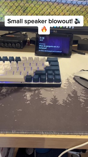 Small Speaker Blowout! Amplify Your Gaming Setup with PAAMP