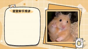 MEMS微振镜（Micro-Electro-Mechanical Systems Micro-Mirror）