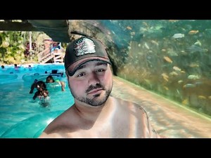 Aquatica Orlando 🌊 Spring Break at SeaWorlds Water Park 2025 | Water Slides, Pools, Beaches & More