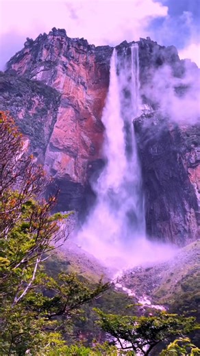 #creatorsearchinsights #CMIHotel1935 @expedia @Hotels.com @Beach Trips Myrtle Beach @Hotel