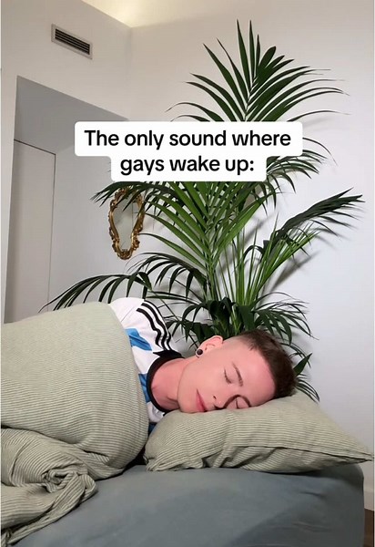 It’s probably true if you see this on your feed 😂 #gay