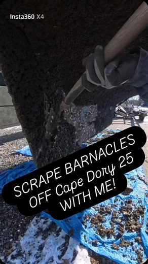 Anchors & Oars on Instagram: "The freezing temps made scraping the barnacles from the bottom of this Cape Dory 25 a lot harder! Once I scraped the bottom of this sailboat I cut it and let the water drain then cut the keel off of the boat. Anyone need CD25 parts? #anchorsandoars #boatremoval #sailboatparts #barnacles #asmr #scrape #sailboat #capedory #usedboatparts #nautical #salvage #barnacleremoval"