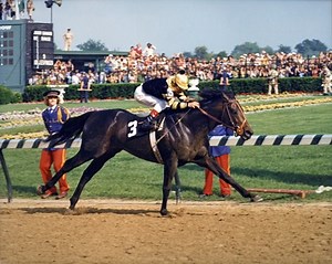 Derby Wins of the Triple Crown Victors: Seattle Slew