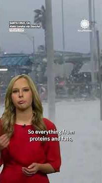 Sea Foam is Great Fun, But You Should Probably Know What's In It