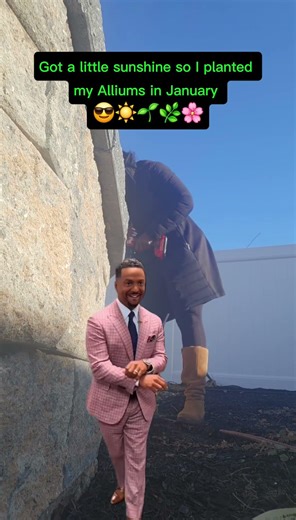 Lets grow some Alliums #WinterGardening #AlliumPlanting #Zone6bGarden #januarygardening #shorts