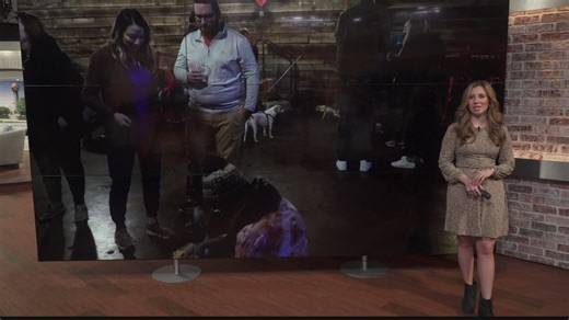 Weekend planner: Snake Day, House and Garden Show and Puppy Bowl