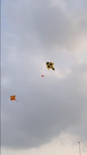 Kite Flying | Patang Ki Video | Yogesh 01