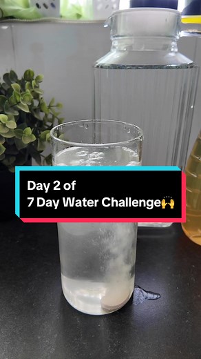 7 Day Water Challenge: Day 2 Progress and Tips for Better Hydration