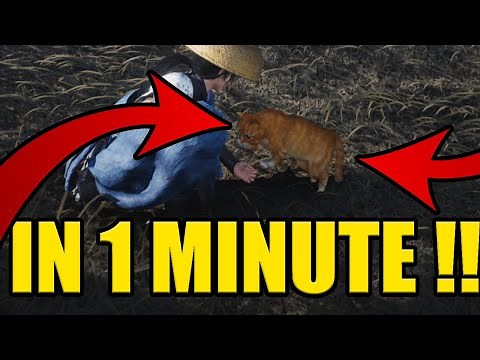 ALL CATS LOCATIONS in WHERE WINDS MEET