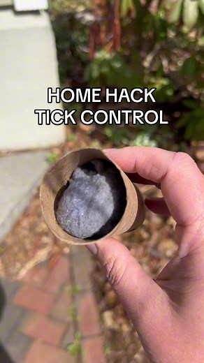 Effective Tick Control Home Hacks