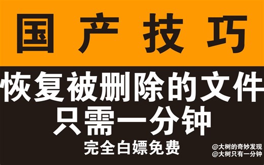 【国产技巧】文件恢复 找回删除的文件 文件删除如何恢复 回收站文件恢复 删除文件还原 误删文件恢复 一键恢复丢失数据 误删除数据恢复 U盘文件恢复