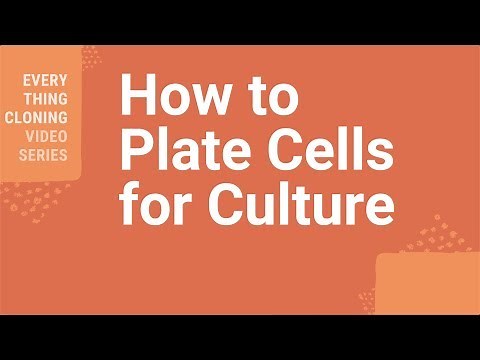 How to Plate Cells for Culture