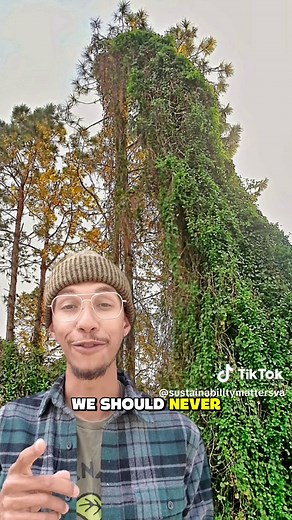 Invasive Plants: The Kudzu Story and Its Impact