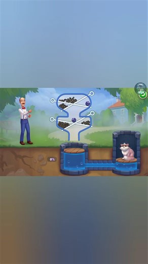 Homescapes Puzzle 333