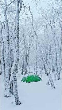 Snow Falling – Peaceful Winter Sounds ❄️ #Shorts