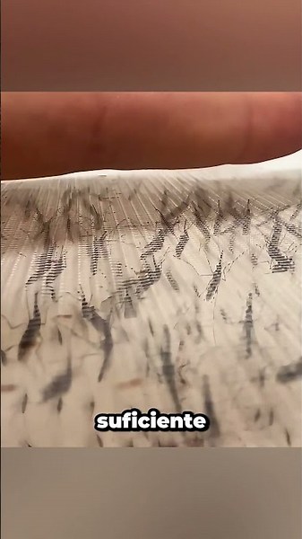 ¿No te gusta? Pues te vas a llevar un mordisco🦟 #mosquito #funny