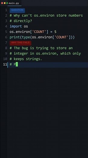 This Output Makes No Sense: Why can't os.environ store numbers directly? #python