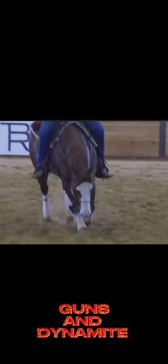 The American is coming! #horsesoftiktok #foryoupage #horses #viral #mattmillsreining