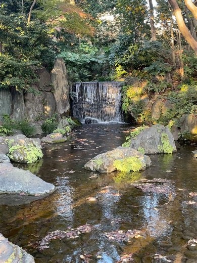 Toyoko Kawai on Reels