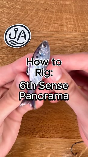 Juran Angling on Instagram: "3 ways to rig the 6th Sense panorama bait! #fishing #fishingtips #bassfishing @6thsensefishing"