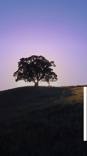 Inspiring Quotes for Language Learning Enthusiasts