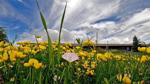 Explore Fond du Lac County’s spring bucket list attractions