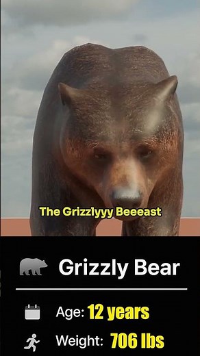 How Fast Can a Grizzly Bear Run 100m? 🐻💨