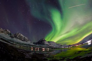 Wildlife Expeditions & Photography Adventures | SDM Adventures