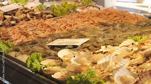 Seafood fish market. A large selection of fish, squid, crabs, shrimps on the counters Stock Video