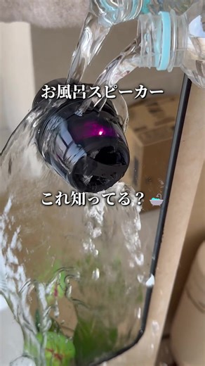 お風呂時間が化ける！🚿 この「G300」、水ぶっかけても余裕なIPX7防水がガチすぎるw 裏のマグネットでスマホスタンドになるのが地味に神。 音質も良くてこの価格はズルい…🫢 在庫あるうちに急いで〜👇 #防水スピーカー #お風呂グッズ #G300 #便利グッズ #QOL向上