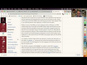 C Programming: String functions