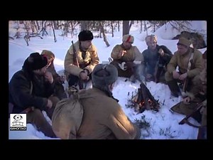 В ледяном плену