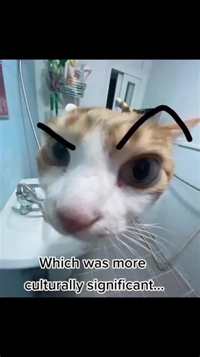 Feyre being in her reputation era #acotar #acomaf #acowar #acotarseries #feyre #feyrearcheron #springcourt #thenightcourt #rhysand #book #booktok #fypbooktok #fantasybooks #booktok #fypbooktok #bookworm #bookish #booktoker #bookworm #therennaissance