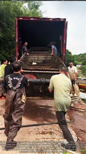 Loading 50,000 lbs of Fresh Catch Onto Trucks in Record Time! 🚚
