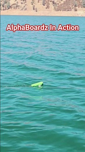 AlphaBoardz are the best planer boards!