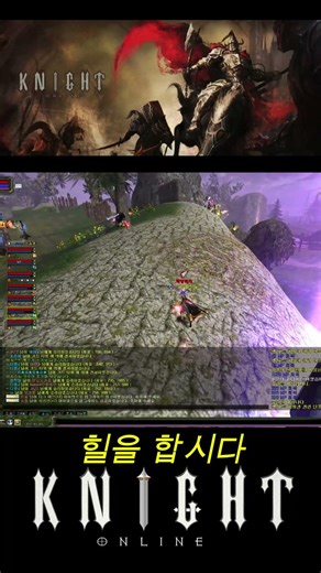 Knight Online 힐중10
