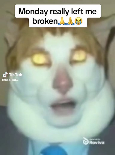 Monday Left Me Broken Cat Meme - Hilarious and Relatable Memes