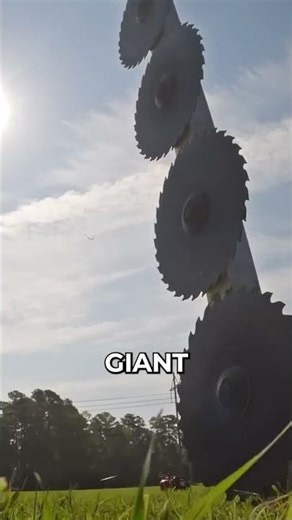 Why Helicopters Use Giant Saws to Cut Trees Near Power Lines! ⚡🚁