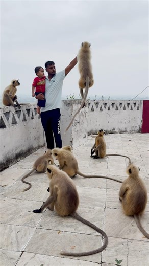 Series 181 – Patli Kamarya More | Part 2 🐒😂🙈