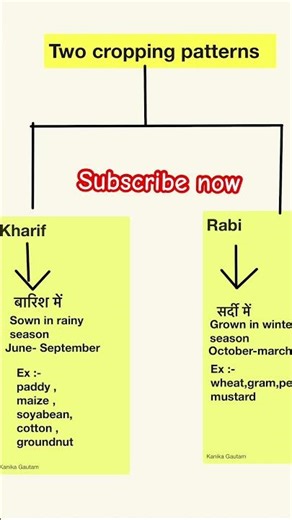 Cropping pattern in India #shorts #ytshorts