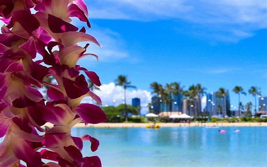 Lei Day in Hawaii: What It Is and Why It Matters