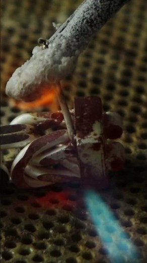 Forging Incredible Imperio Bracelet from Scrap Silver