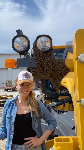 ERIKA THOMPSON | THE BEE LADY on Instagram: "The most amazing swarm of bees I’ve ever seen! #bees #beekeeper #beekeeping #texas #nature #animals #insects #texasforever #savingthebees"