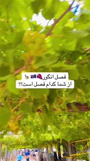 Layli (@layli_y)’s videos with original sound - RO Animation