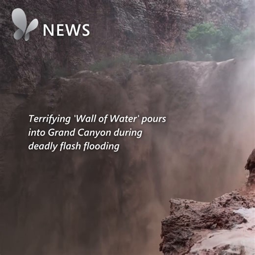 31K views · 133 reactions | Touring the Grand Canyon turned perilous for hikers on August 22 as flash floods hit Havasupai, Arizona, forcing them to seek refuge in a cave near Mooney Falls. Video captures the brown waterfalls cascading down the canyon’s walls as the group narrowly escaped danger. Sadly, one woman went missing and was found deceased on August 25. Watch the full video here: https://msft.it/6188l4Kzj #HikingSafety #GrandCanyonFlood #FlashFlood | MSN | Facebook